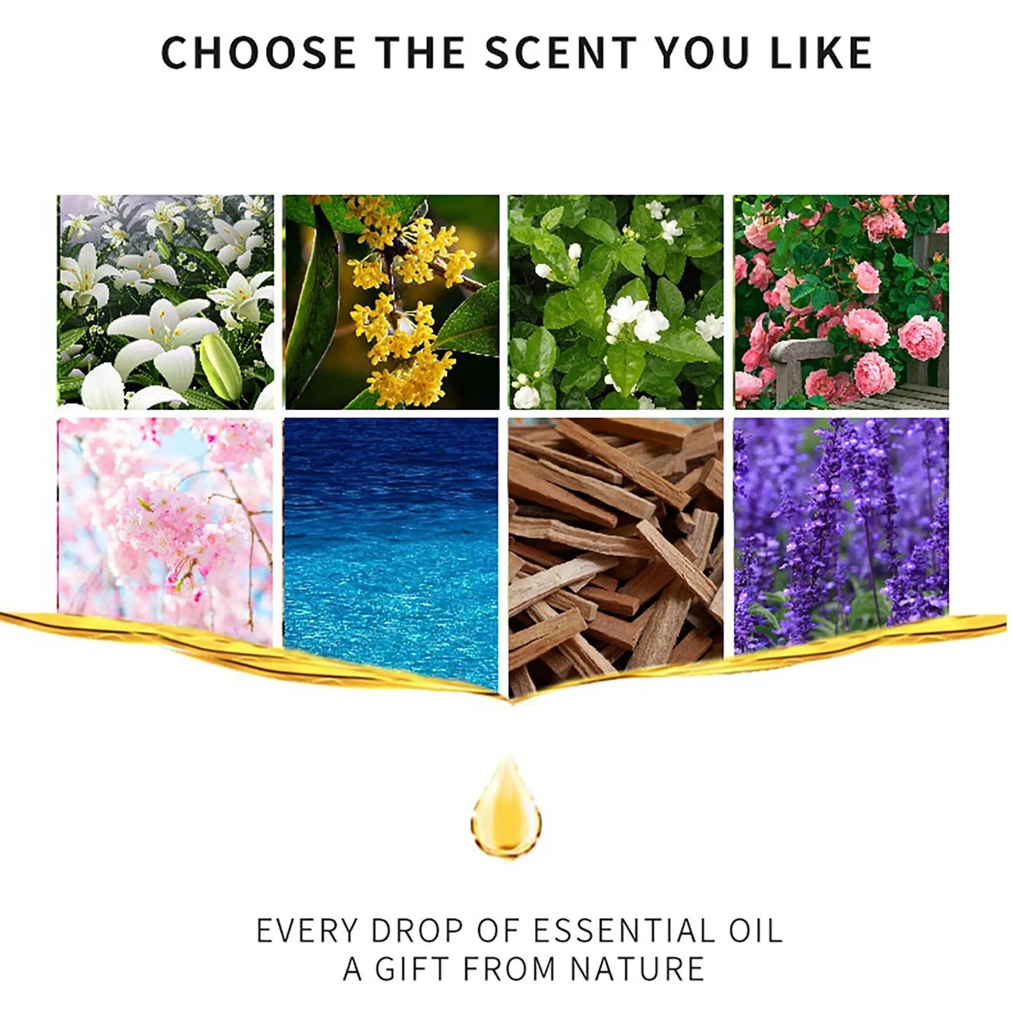 Essential Oils - 10ml